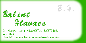 balint hlavacs business card